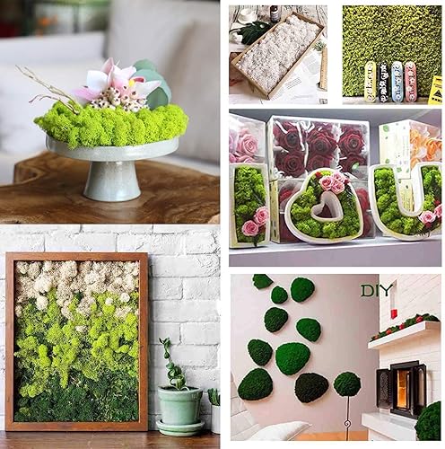 Miniatura 7 de Musgo vivo natural de 9 onzas, musgo falso para plantas en macetas y terrarios, arte y decoración de bodas (verde, morado, rosa)