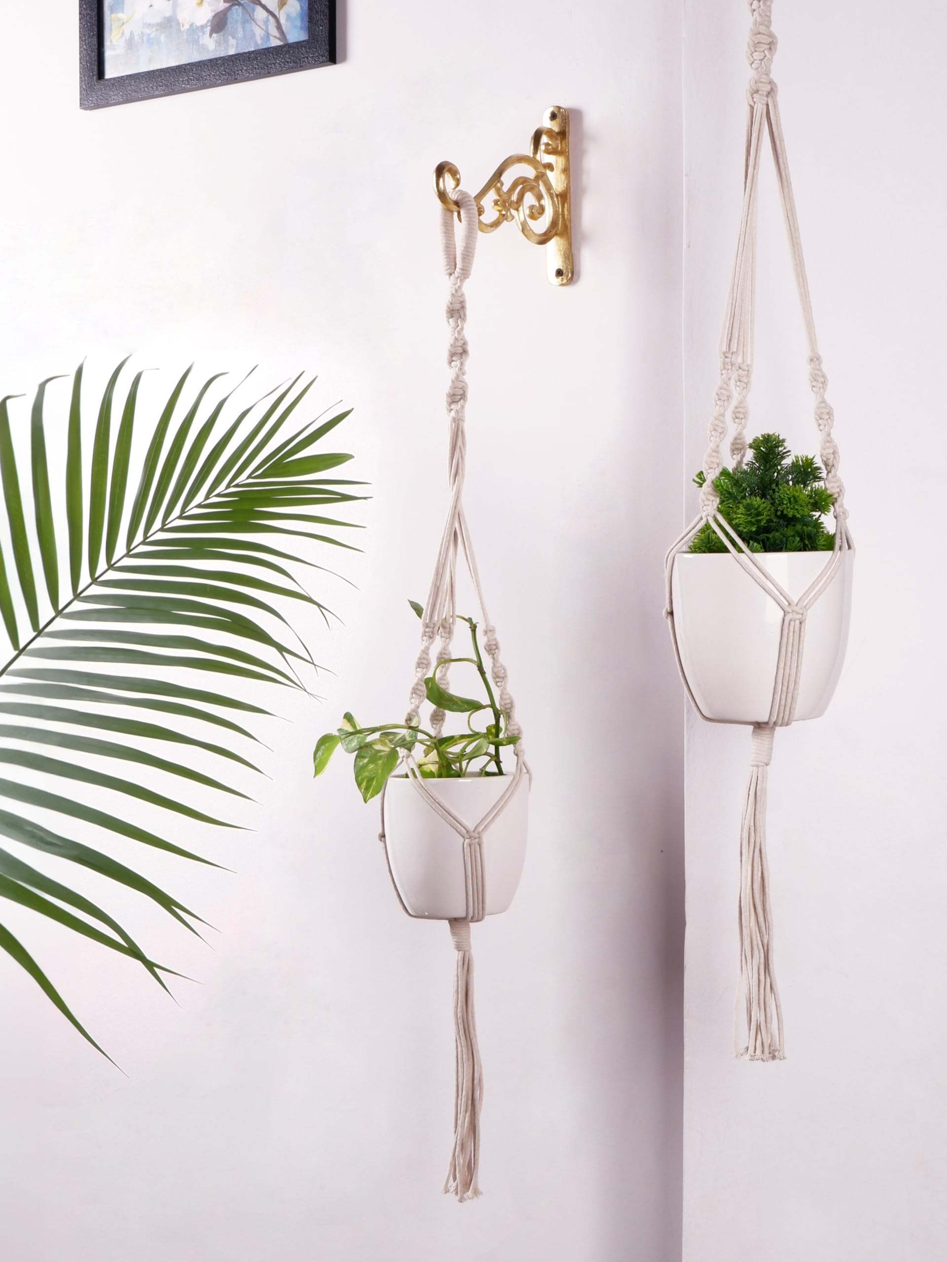ecofynd Cotton Rope Boho Plant Hanger Without Pot (M21, Ivory, 39 Inches)-image-23