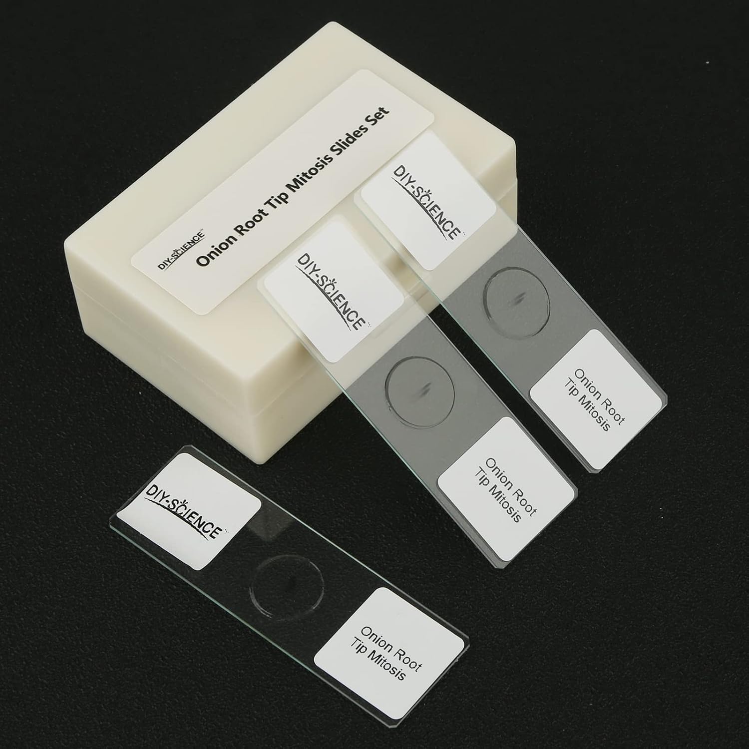 Onion Root Tips Cell Mitosis Microscope Slides Set, 15pcs Slides Show Plant Cell Mitosis Stages Clearly for Plant Genetics Biology Science Class(15 Count)