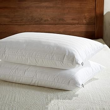 east coast bedding down pillows