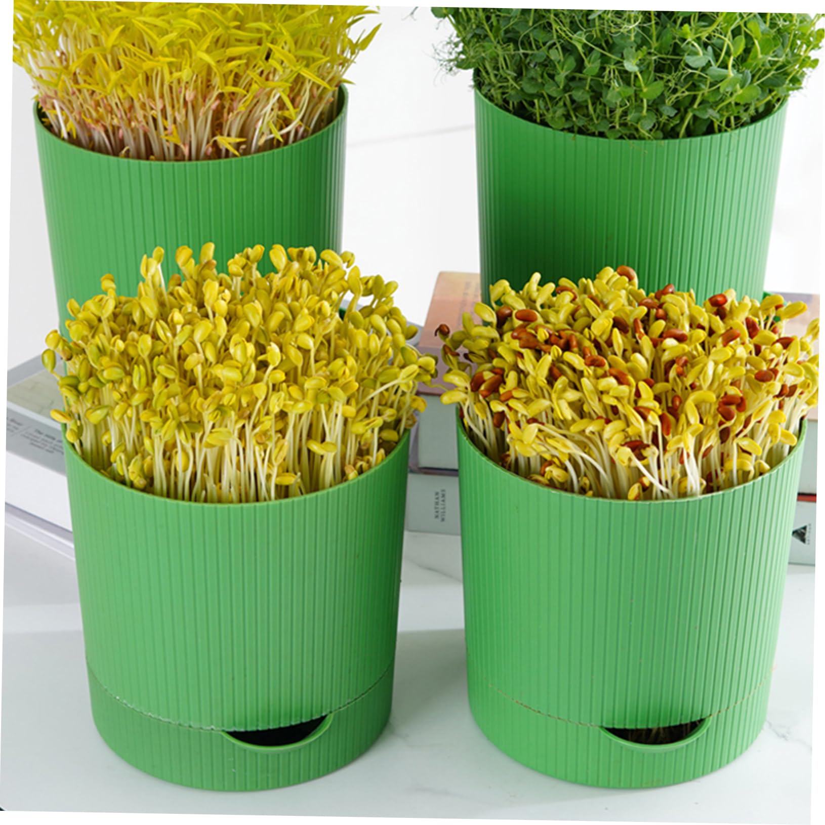 Kit de Culture de Germes de Haricots en PP, Pot de Germination Réutilisable Sortie D’Eau, pour Haricots Mungo et Rouges, Jardin ou Serrage