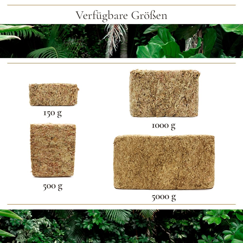 Sphagnum Moos 5Kg, ca. 400L – Premium Orchideenmoos & Pflanzensubstrat | Stark wasserspeichernd, Torfmoos, Für Orchideen, Monstera, Anthurium, Für Stecklinge & Terrarium, Für Zimmerpflanzen