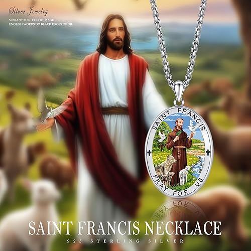 Vista 567 de Collar con colgante de plata de ley 925 con medalla de San Patrón, joyería religiosa para hombres y mujeres, con cadena de acero inoxidable 316L