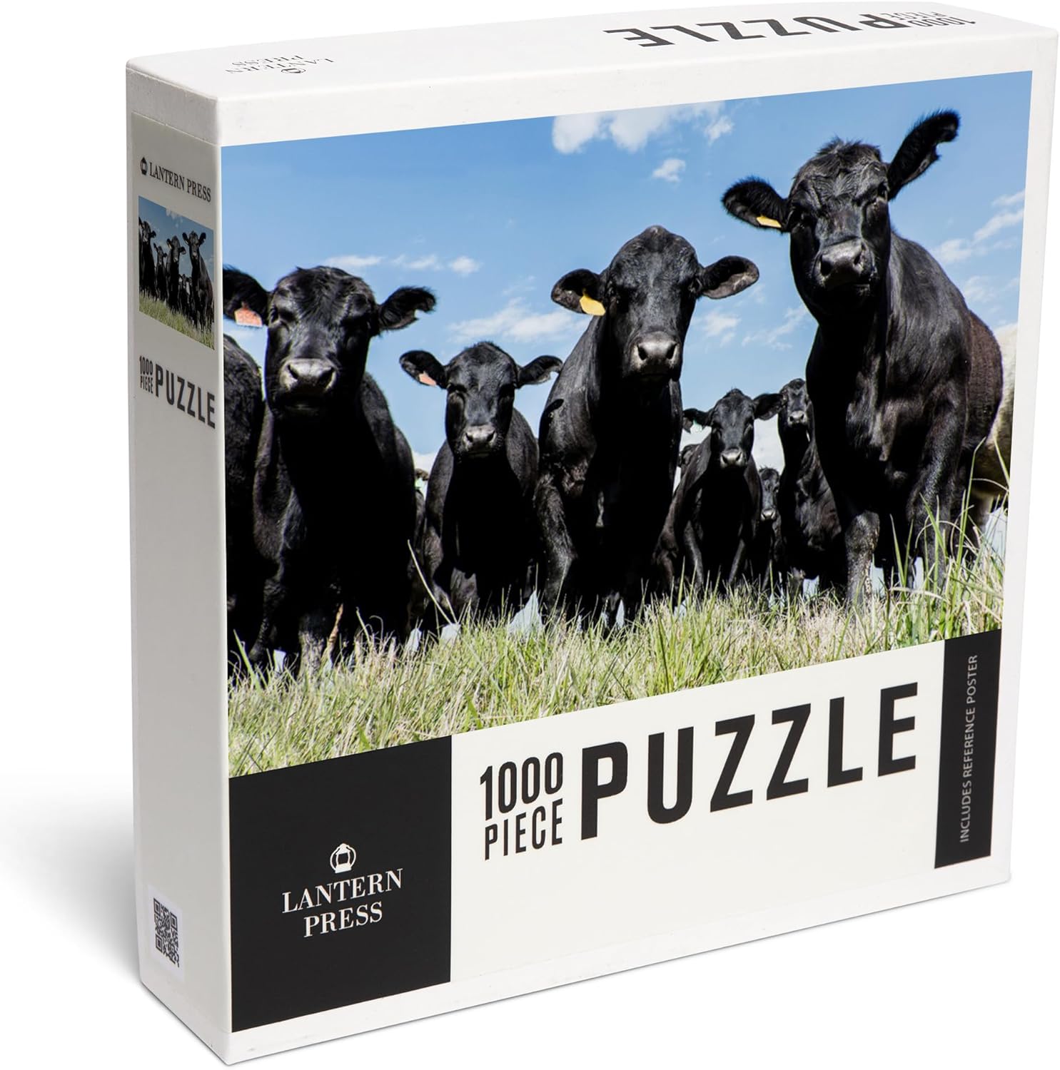 Lantern Press Black Angus Cow Herd Viewed from a Low Angle 1000 Piece Jigsaw Puzzle for Adults, Made in USA with Reference Poster
