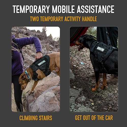 Miniatura 6 de Arnés de elevación para perros grandes, arnés de elevación transpirable de malla militar con chaleco Molle con hebilla de metal de 1.38 oz para