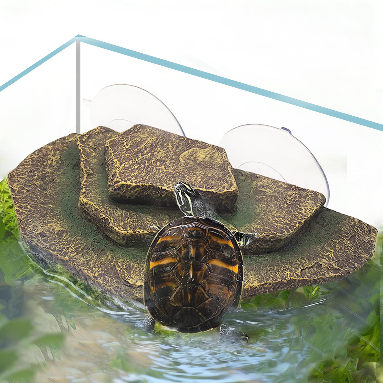 Photo 1 of Tfwadmx Turtle Basking Platform, Tortoise Basking Platform with Suction Cups, Tortoise Climbing Ramp Dock, Turtle Floating Resting Terrace for Terrapins, Frogs (Brown)