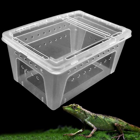 Reptile Terrarium Enclosure, Tortoise Terrarium, Stackable Container for Frogs, Lizards, Amphibians, Crayfish, Tarantulas, Clear