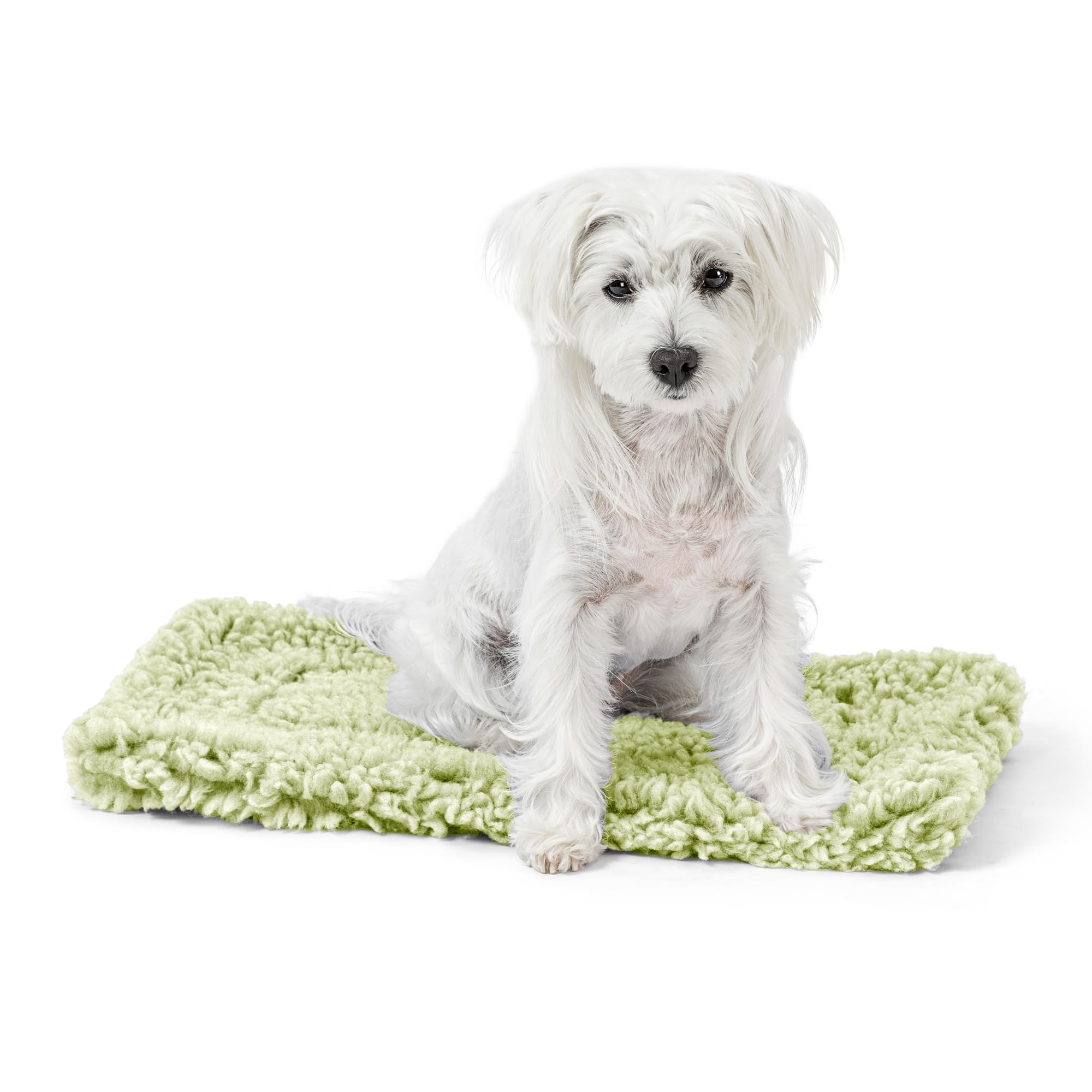 PELZIN Stoutwool Indestructible Dog Bed - Fluffy Chew Proof Dog Crate Pad - Tough Kennel Pad for Aggressive Chewers - Ideal for Extra Small Breeds & Fits 22-Inch Crate - 21"x12", Gleam โ image 1