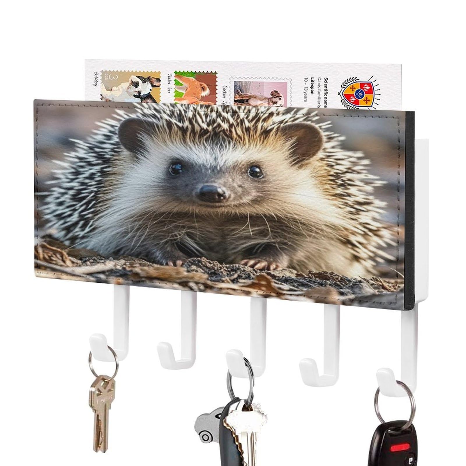 FekiLoot Hedgehog Key Holder Wall Mount Key Hanger with 5 Hooks Decorative Key Rack Hanging Key Hooks with Mail Organizer Key Holder for Wall Living Room Kitchen Bathroom Hallway White