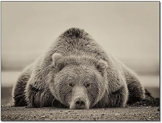 Deep Sleep Sepia Bear Photography Canvas Print Wall Art Posters Home Decor Canvas Painting Wall Art Poster for Bedroom Living Room Decor 8x10inch(20x26cm) Unframe-style