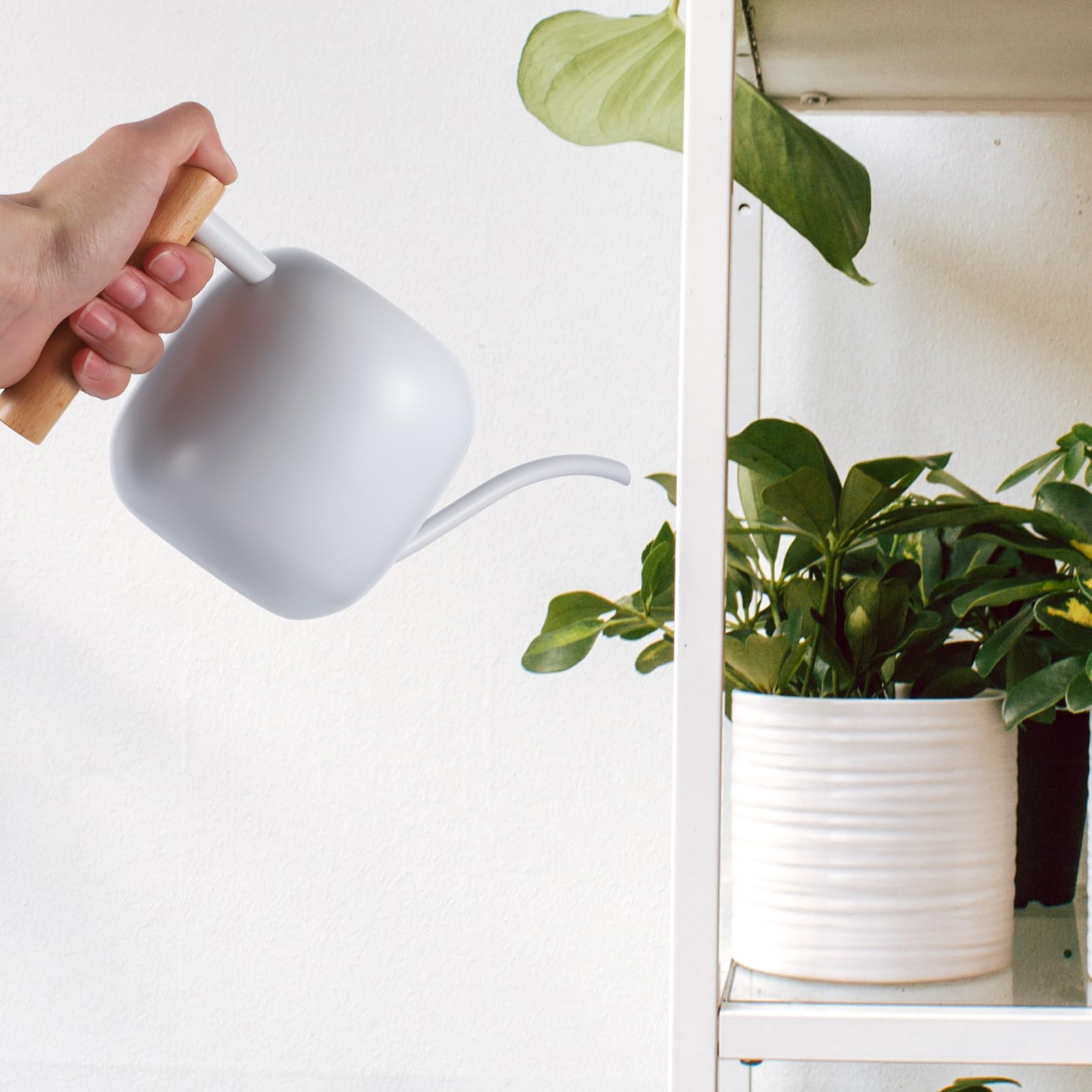 Luxshiny Arrosoir Acier Inoxydable pour Plantes Intérieur Arrosoir Long Bec Ergonomique pour Jardin et Maison