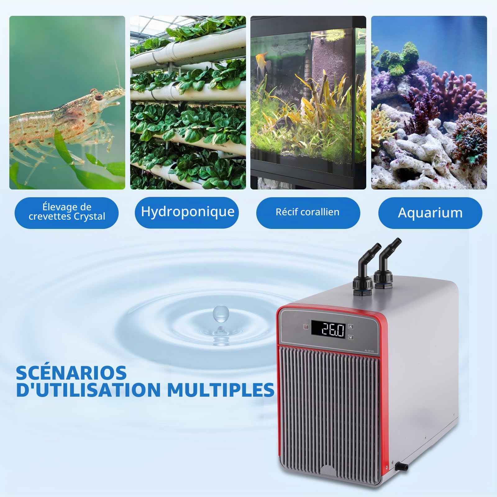 BAOSHISHAN Refroidisseur d'aquarium 160 L 220V | pour hydroponie, plantes aquatiques, méduses, crevettes, crevettes crystal