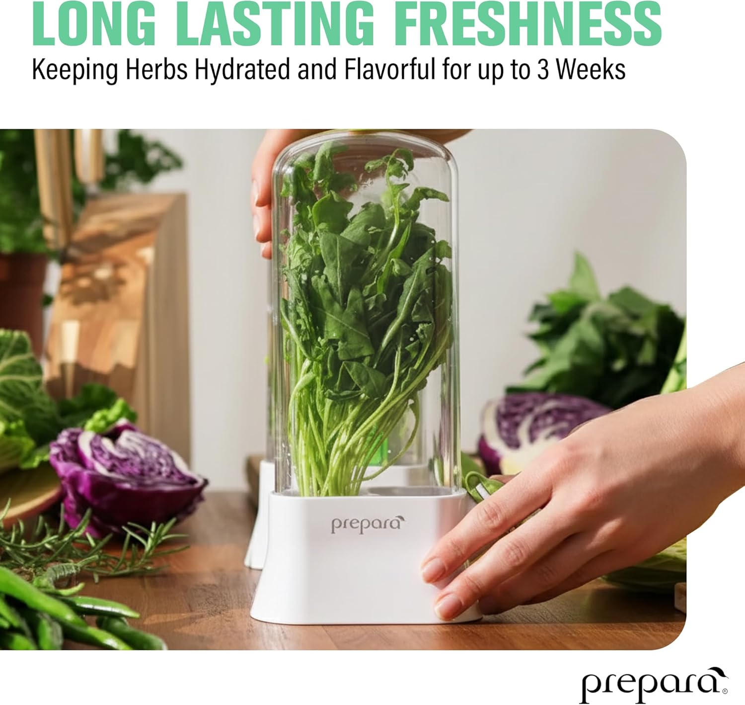 Prepara Herb Savor Eco Fresh Herb Keeper - Compact for Sleek Fridge Storage, BPA Free Plastic - Plant Hydration Container Prolongs Freshness Up to 3 Weeks - Dishwasher Safe (2-Pack)