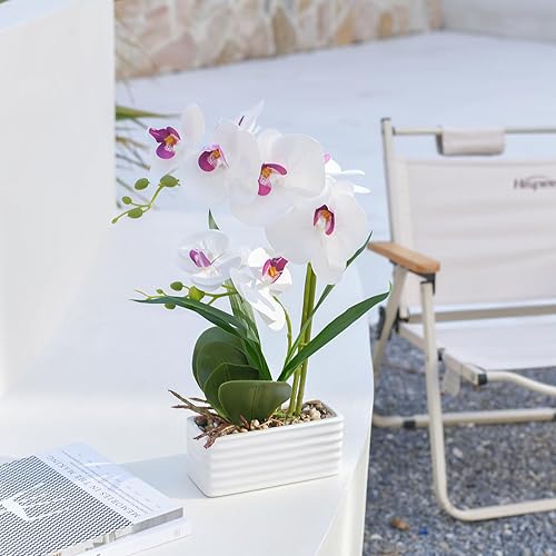 Vista 14 de Flores artificiales de orquídea de tacto real en maceta, flor falsa de Phalaenopsis con jarrón de cerámica blanca, arreglo de orquídeas sintéticas