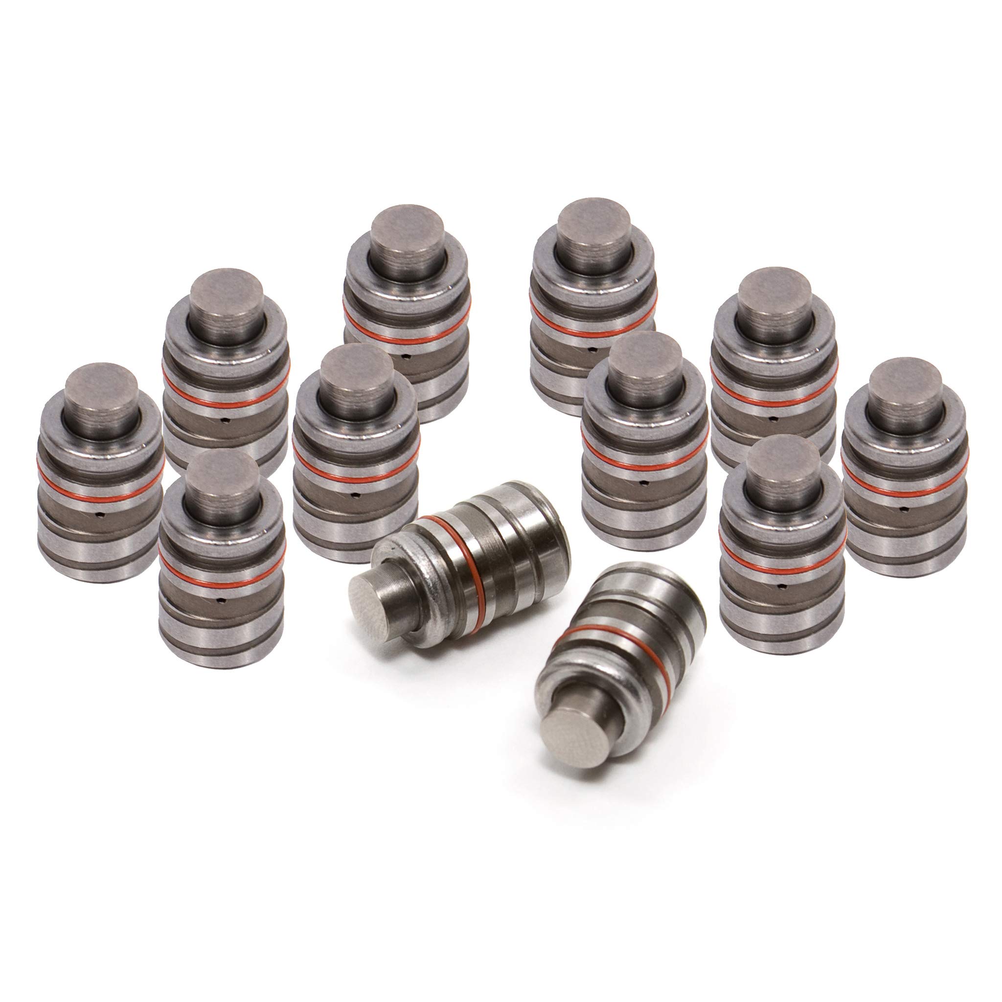 Amazon.com: Mizumo Auto MA-4216893849 Hydraulic Lifters