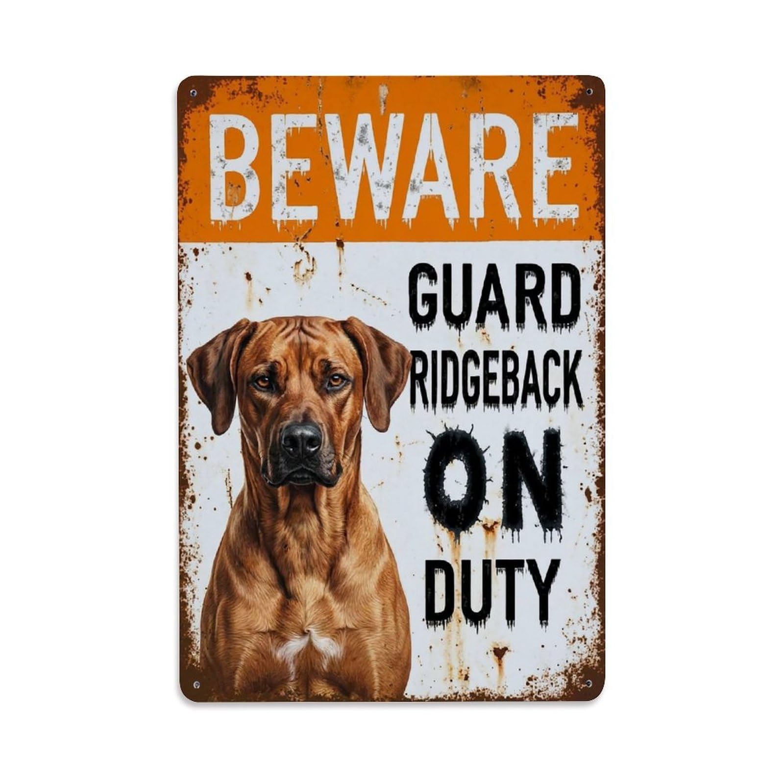 Vintage Funny Ridgeback Guard Beware of Dog Hallway Metal Tin Sign Plaque Wall Decor for Cafe, Club Bar, Office, Garden Metal Poster 8x12Inch