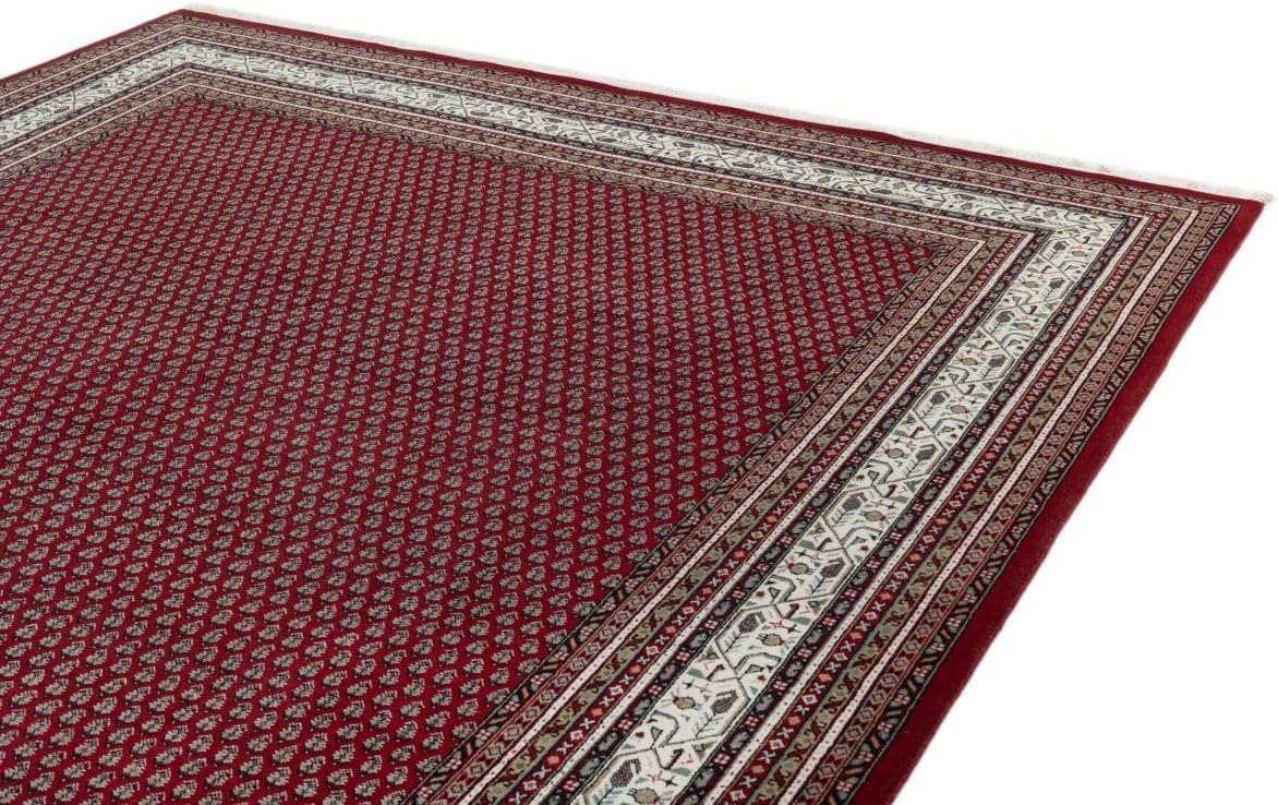 Top-Angebot: Indo Mir 245 x 345 cm Hand Knotted Oriental Rug Wool India | Handgeknüpfter Orientteppich | Wien Österreich