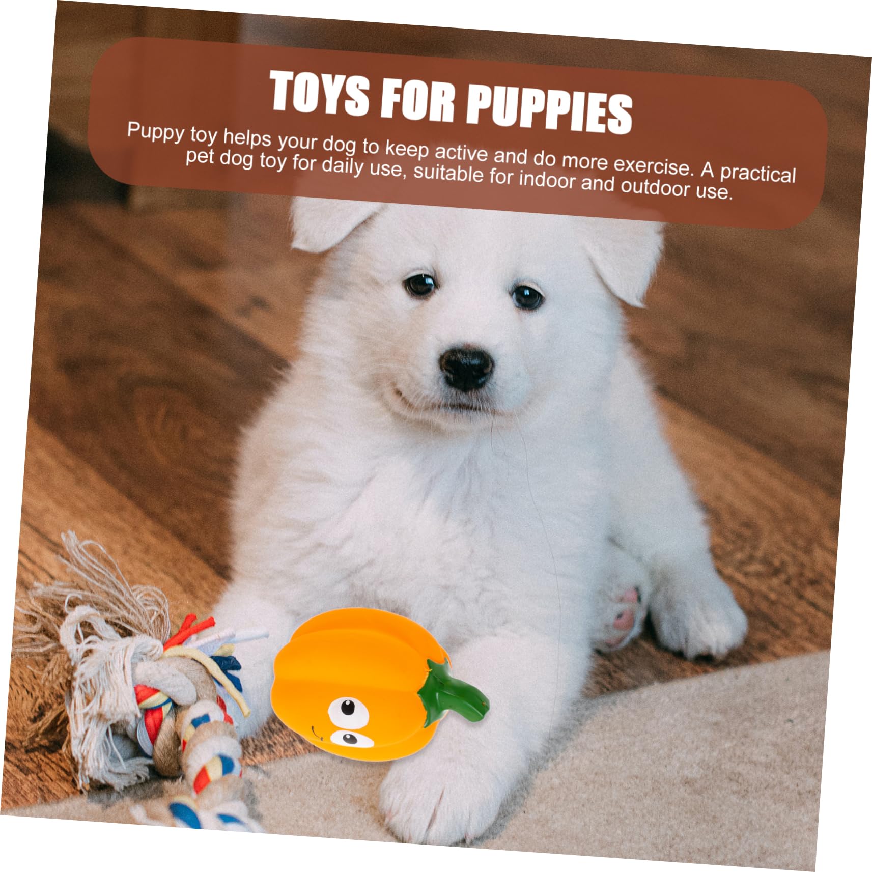 Toddmomy 5pièces Jouet Squeaky Interactif Forme De Citrouille pour Chiens Jouet à Mâcher pour Chiots Et Petits Chiens Et Matériau Latex Souple