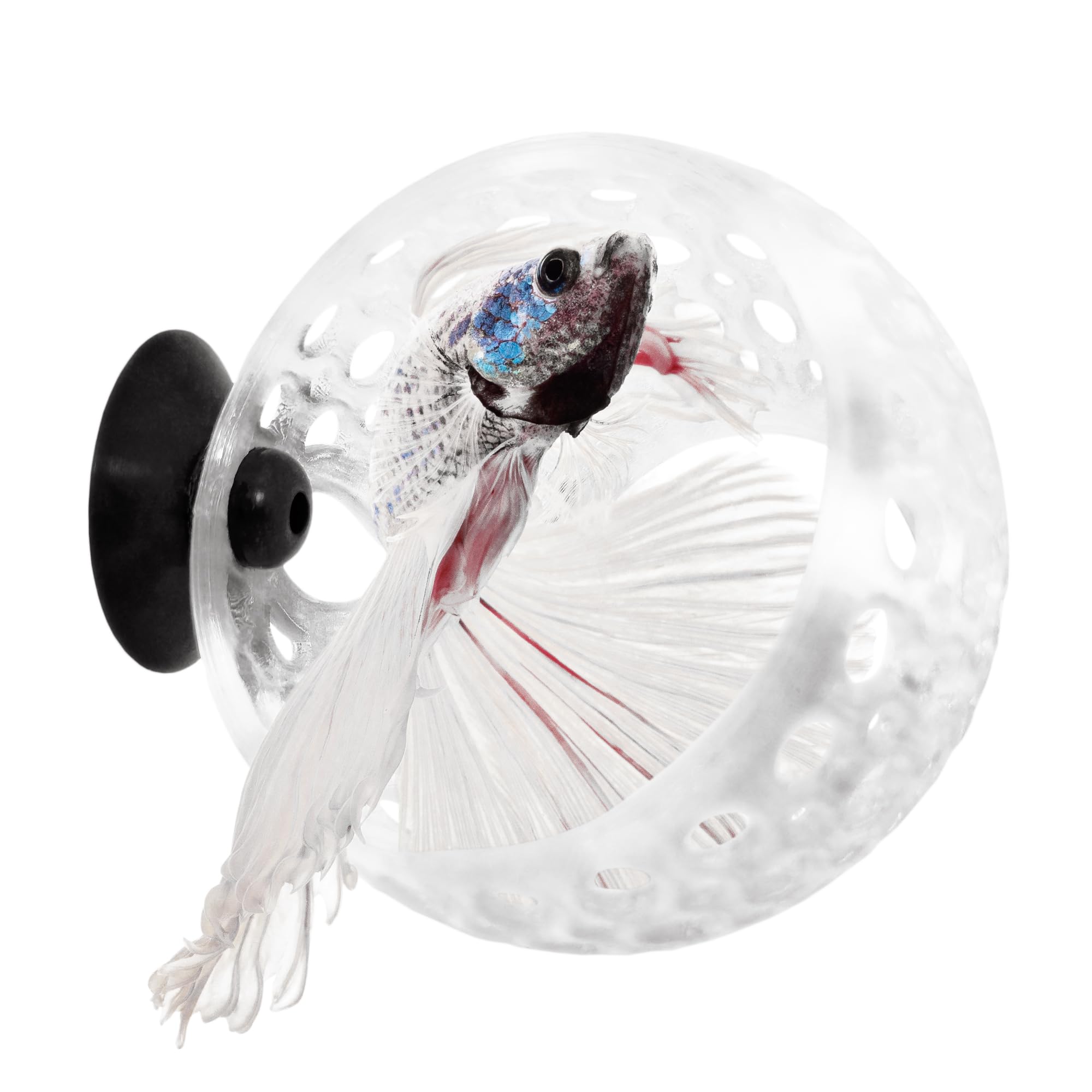 byMazy Betta Cave Lounge, Clear White, S