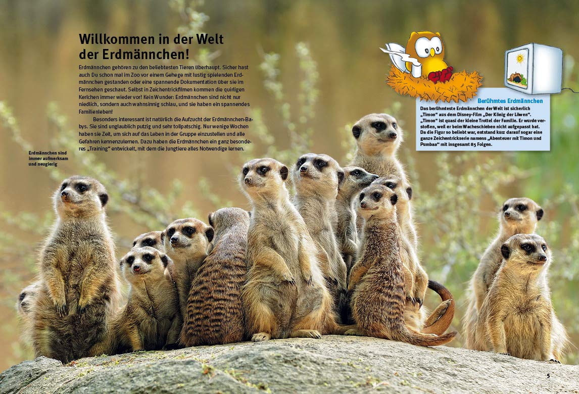 Entdecke die Erdmännchen: Mit großem Erdmännchenquiz (Entdecke - Die Reihe mit der Eule: Kindersachbuchreihe)