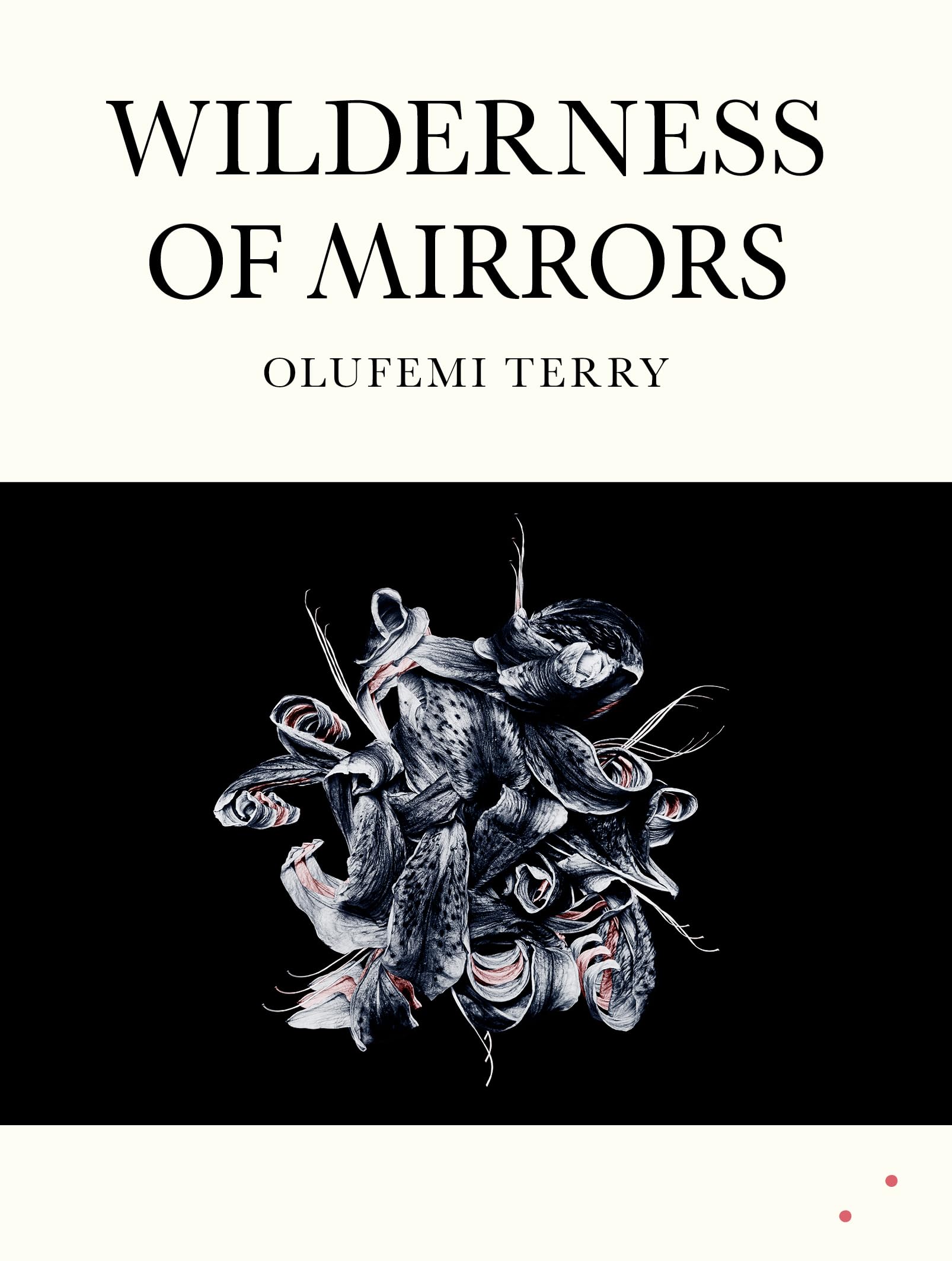 Wilderness of Mirrors