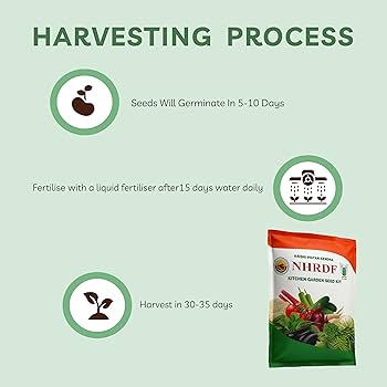 Krishi Vigyan Kendra NHRDF Kitchen Garden Seeds Kit – 20+ Seasonal