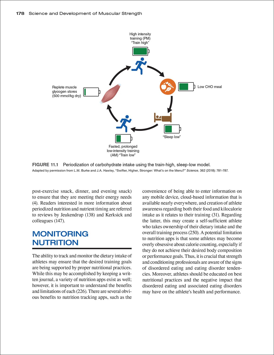 Science and Development of Muscular Strength