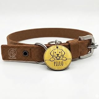 Pawpro Adjustable Nylon Dog Collar with Secure D-Ring from Small - Medium to Large Breeds (Brown, Large) Price In India