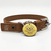 Pawpro Adjustable Nylon Dog Collar with Secure D-Ring from Small - Medium to Large Breeds (Brown, Small)