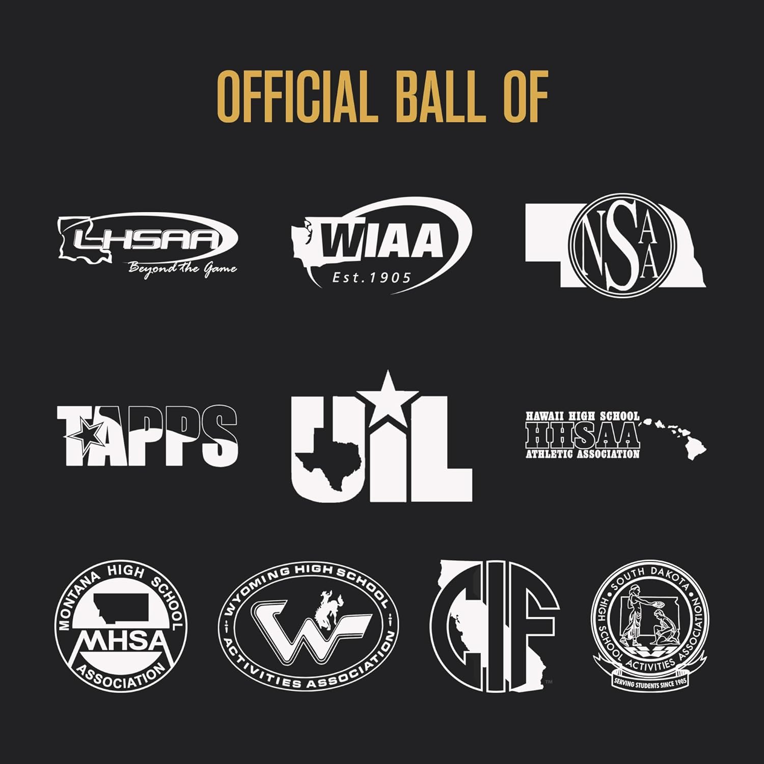 Baden Perfection Thermo Soccer Ball, Size 5