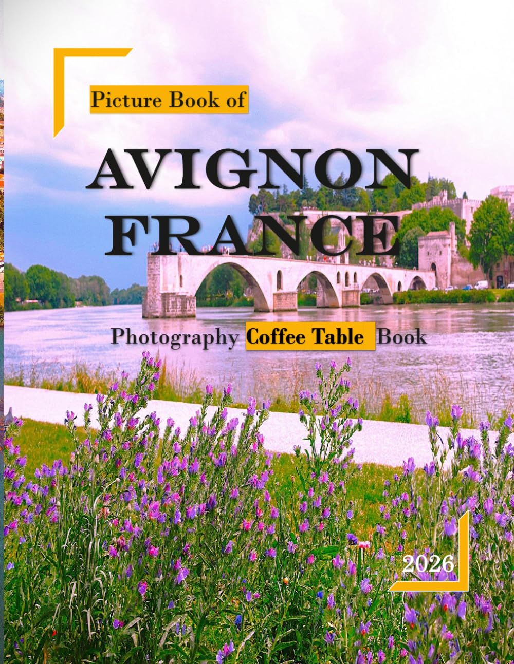 Avignon France: Beautiful photos showing an amazing country, its architecture and unique charm-perfect for travel lovers.