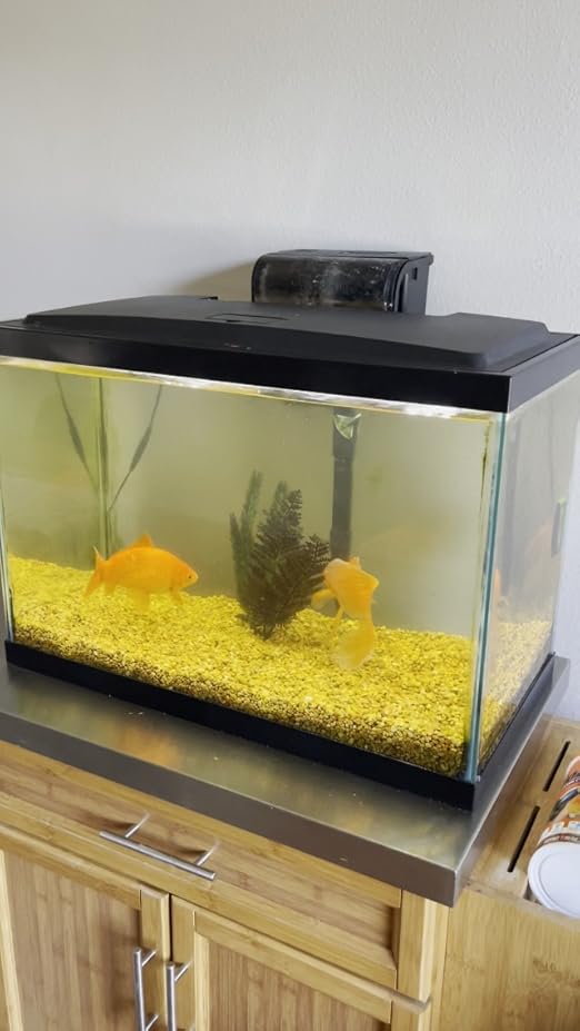 Buy Aqueon Aquarium Fish Tank Starter Kit with LED Lighting 20 Gallon High Fish Tank at Ubuy
