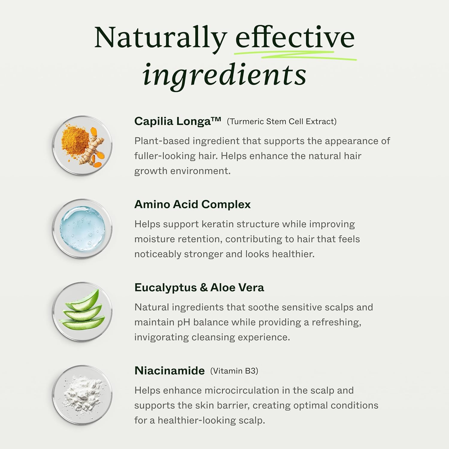 Scandinavian Biolabs Bio-Pilixin® Shampoo For Men | Strengthens Hair, Helps Greasiness, Balances Scalp, Eucalyptus Aroma, Dermatologically Tested, Made in Denmark, 250 mL/ 8.8 Oz - Image 2