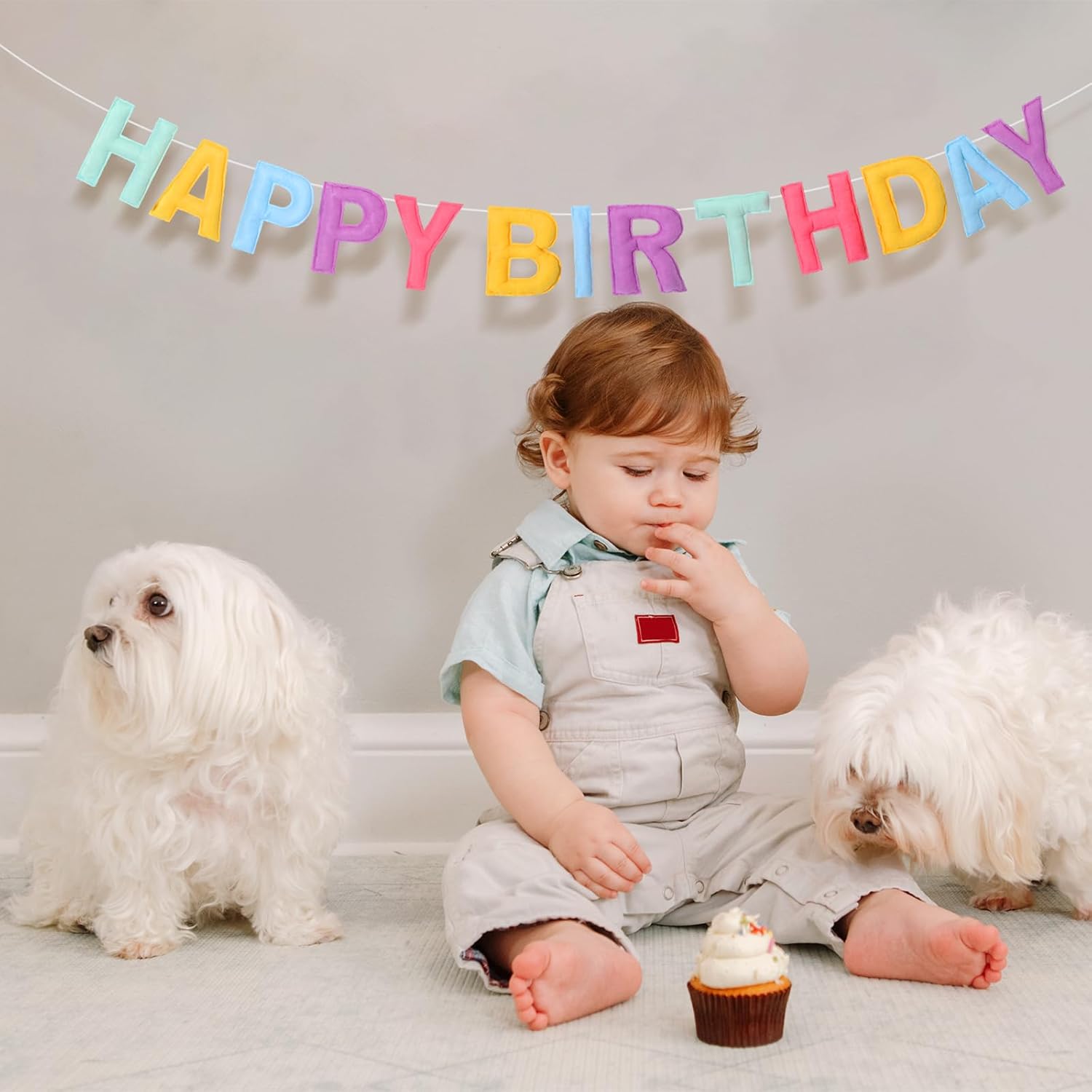 Mindsoft 4 Pcs Felt Happy Birthday Banner Pre-strung Happy Birthday Banner Felt Ball Garland Tassel and Triangle Flags Garland Pastel Backdrop Decorations for Kids Adults Party Supplies