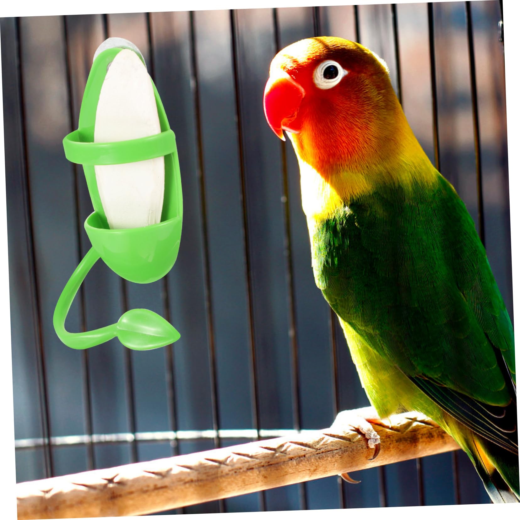 Mipcase 5ensembles Mangeoire Suspendue pour Oiseaux avec Support De Seiche Accessoire Pratique pour Perroquets Perruches Et Autres Oiseaux pour Fruits Et Légumes