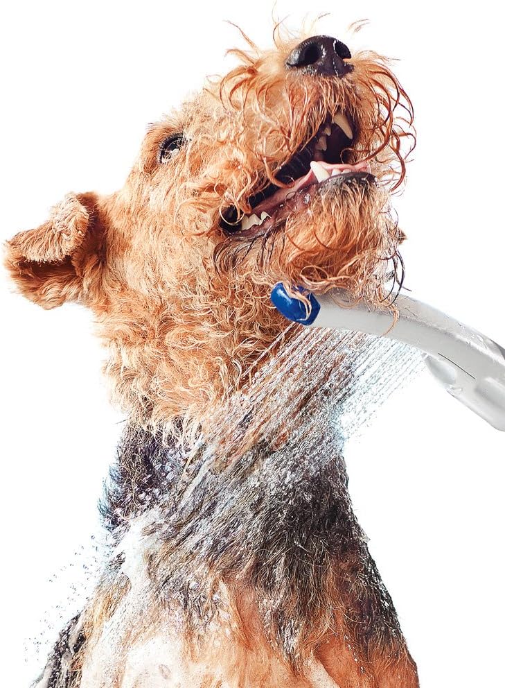 Waterpik PES142 Pet Wand Dog Shower for IndoorOutdoor Use