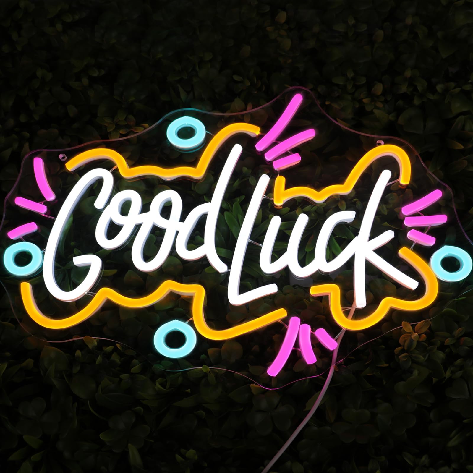 Good Luck Neon Signs for Wall Decor, LED Luck Neon Light for Business, Dimmable Light Up Signs with USB Powered for Bedroom, Office, Gaming Room, Party, Teen Girls Decor