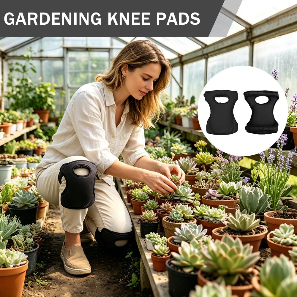 View 5