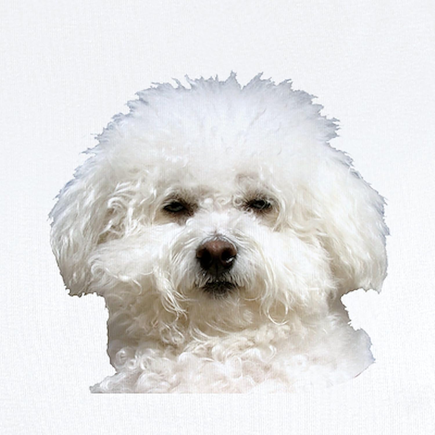 CafePress Fifi The Bichon Frise Infant Bodysuit Cute Infant Bodysuit Baby Romper