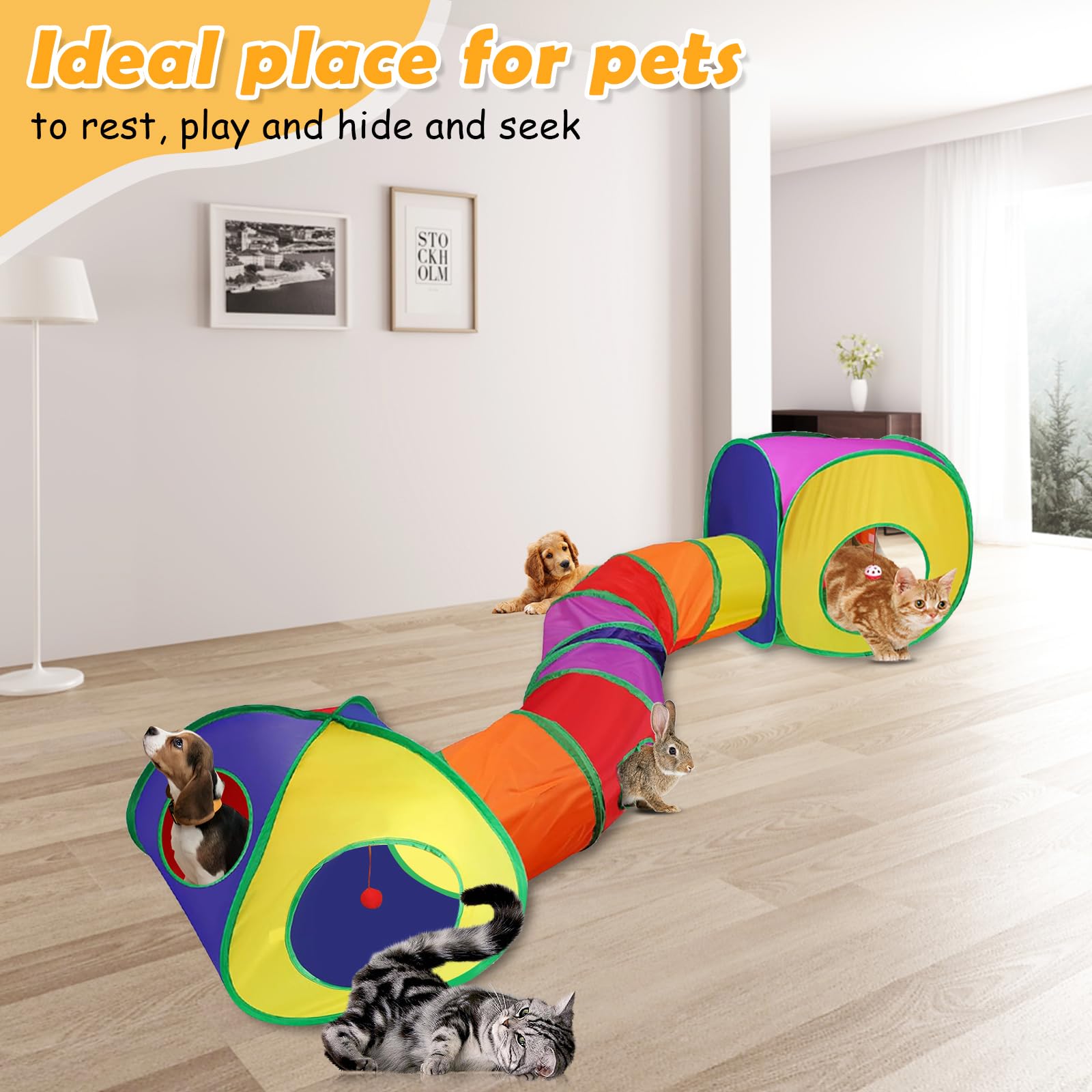 RANYPET 3-in-1 Kattentunnel - Interactief Speelgoed, Opvouwbare Pop-up Tunnel met Opbergpakket voor Binnen en Buiten - Kattentent voor Katten, Puppy's, Konijnen, Kleine Dieren