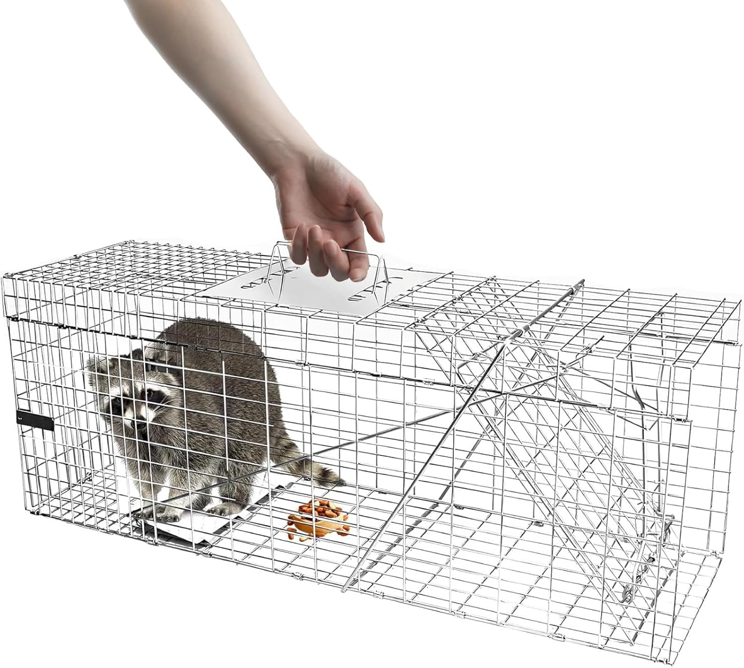 Live Animal Cage Trap, 32" x 11" x 12" Heavy Duty Folding Raccoon Traps, Humane Cat Trap for Stray Cats, Squirrels, Raccoons, Skunks, Groundhogs and Opossums, Catch and Release