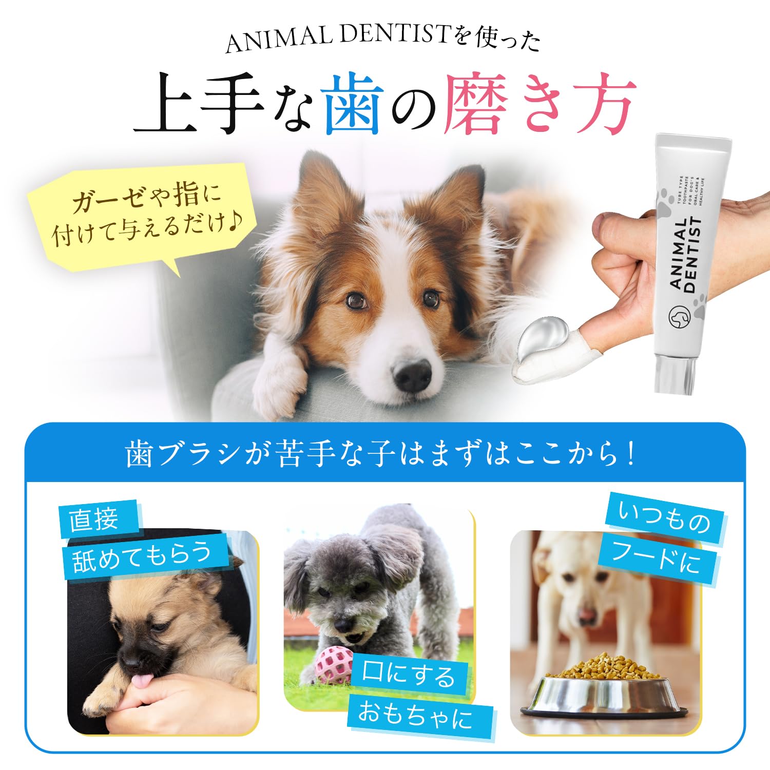 Amazon | 【舐めるだけの簡単歯磨き】 アニマルデンティスト 犬 猫