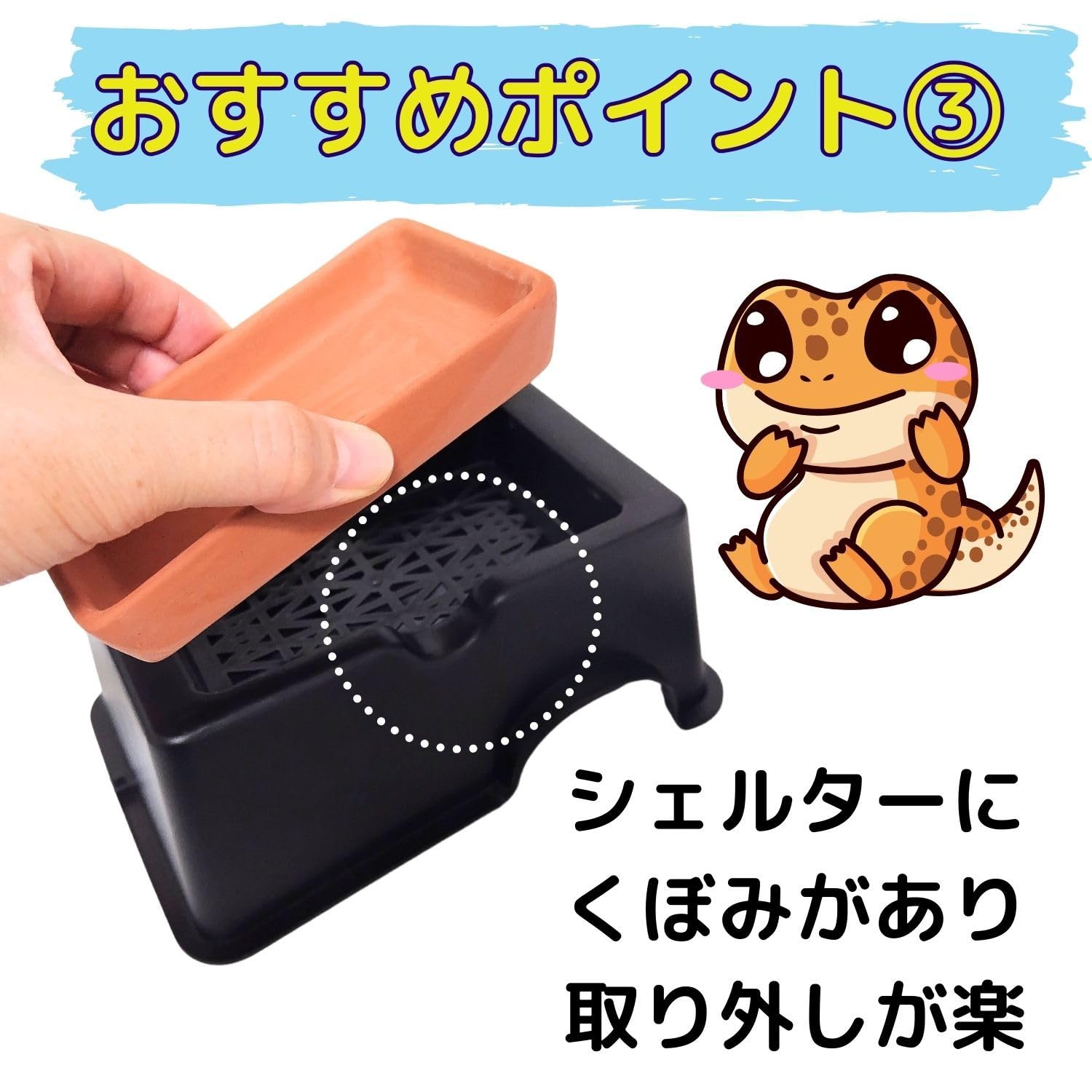 ももたんさま専用　爬虫類シェルター+水入れ Amazon | Ladruph 爬虫類 シェルター ウェットシェルター 隠れ家