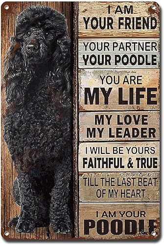 Letrero de metal con texto en inglés "I Am Your Friend", regalo para los amantes de los caniches negros, arte de pared vintage, decoración al aire