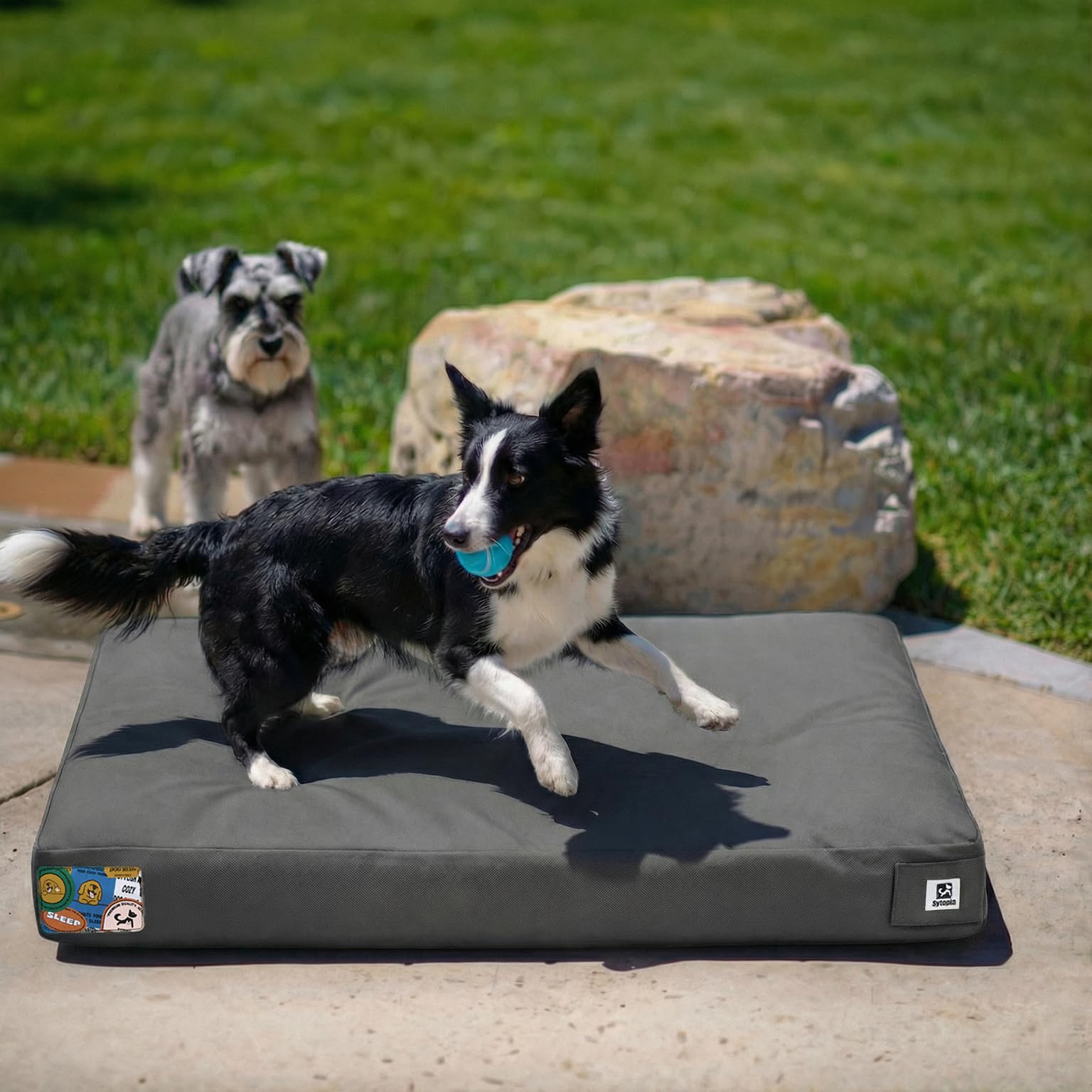 Sytopia Indestructible Waterproof Canvas Outdoor Dog Bed, 36-Inch Chew Proof Pet Bed for Large & Medium Dogs, Washable Removable Cover, Indoor Outdoor Patio Pad, Dark Grey