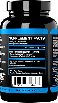 eFlow Nutrition Turkesterone Supplement for Men [Highest Purity] + Cyclodextrin for High Absorption - Increase Stamina, Lean Muscle Growth & Recovery, Boosts Drive - 3rd Party Tested (60 Capsules)