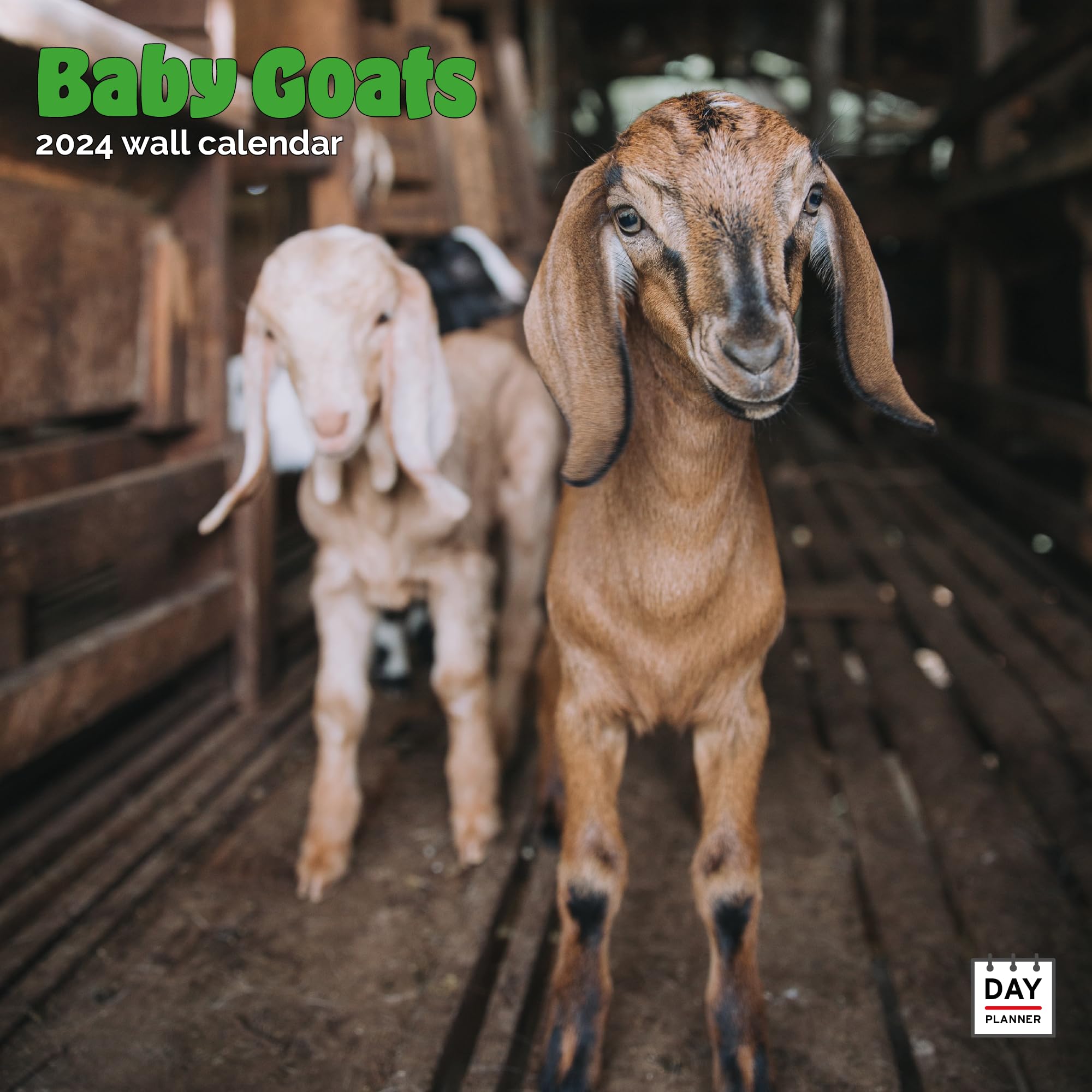Dayplanner Publishing Baby Goats Calendar 2026, Large Square Wall Calendar, 16 Month, Baby Goats Gift Animal Calendar