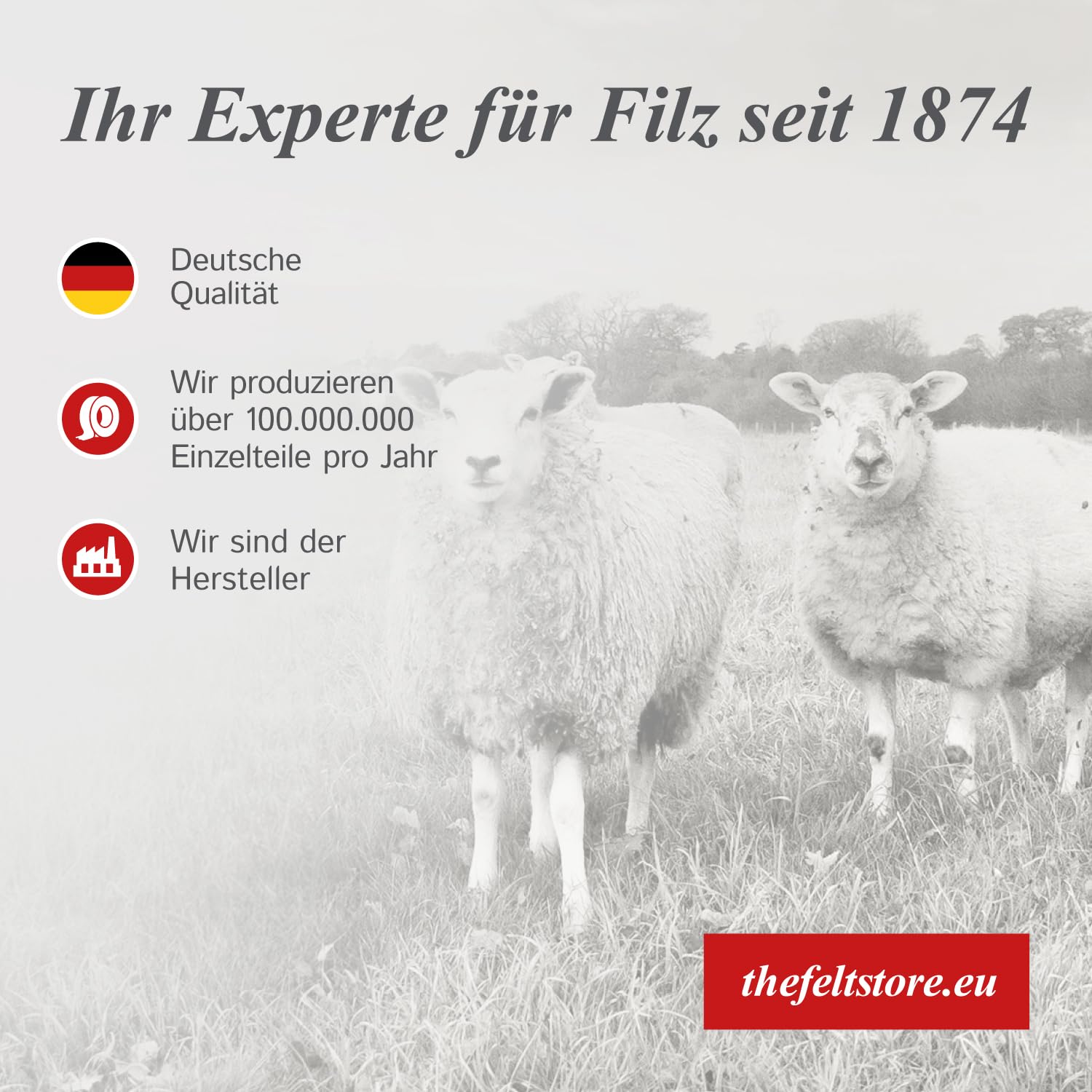 The Felt Store - Tarcza polerska z filcu, średnica: 200 mm, grubość: 20 mm