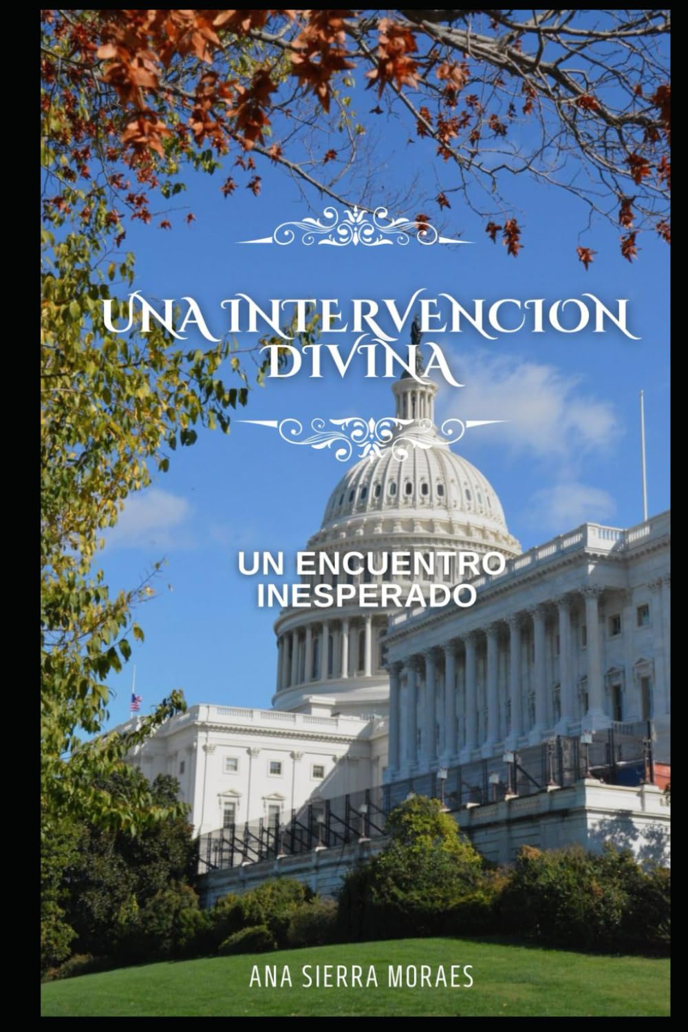 Una interverción Divina: Un encuentro inesperado