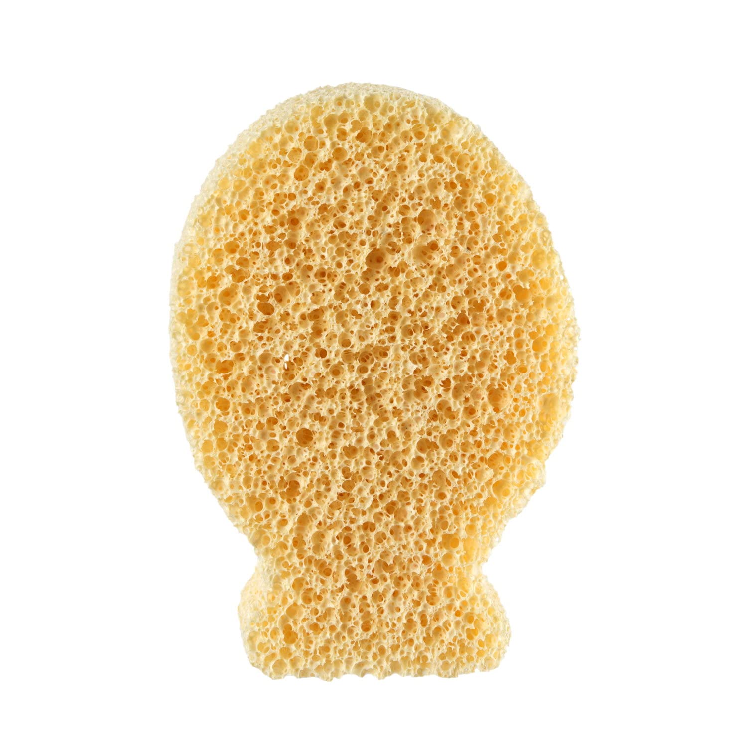 Ch spugna ioni argento